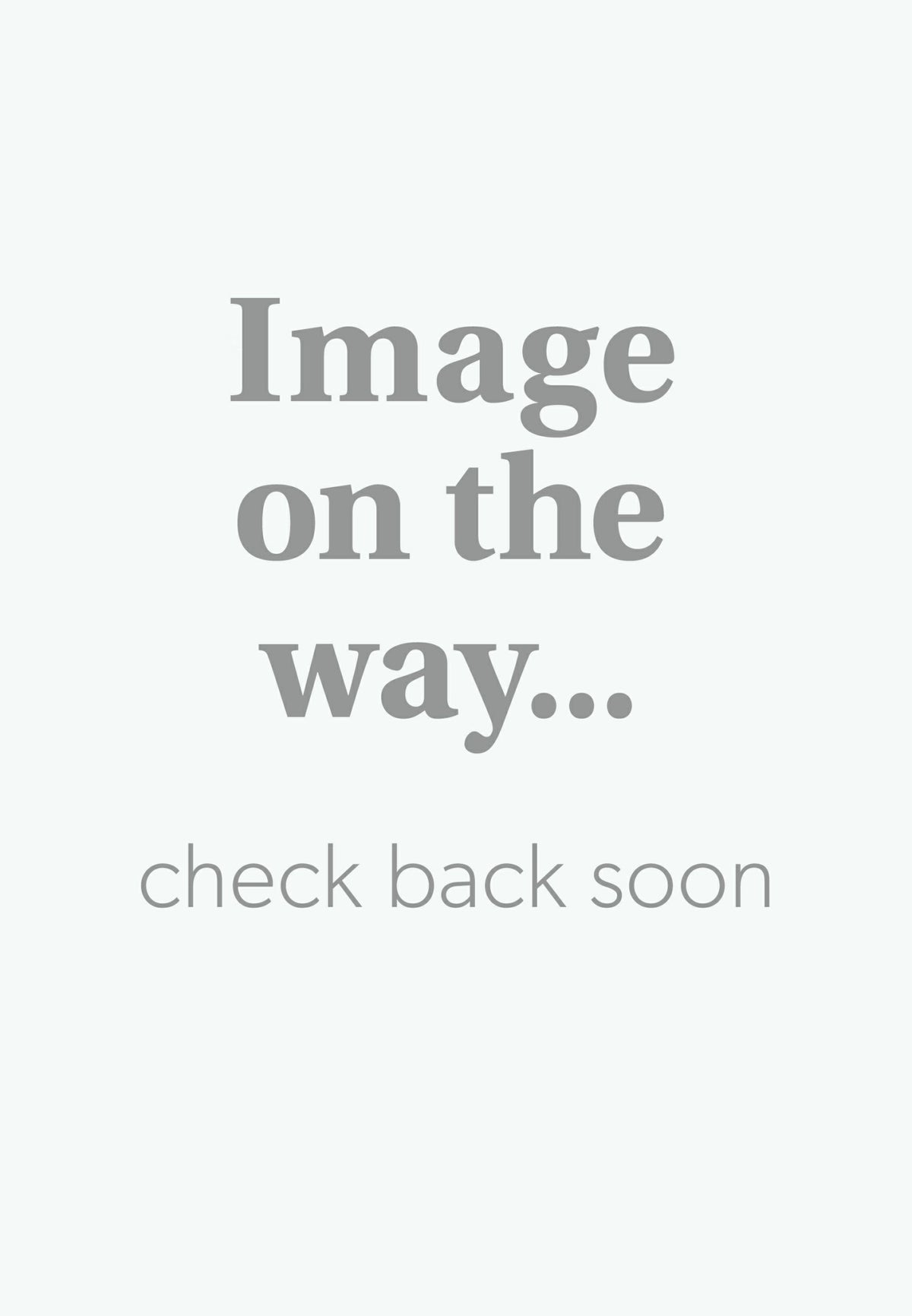 Sunhaven Notch Neck Sweatshirt