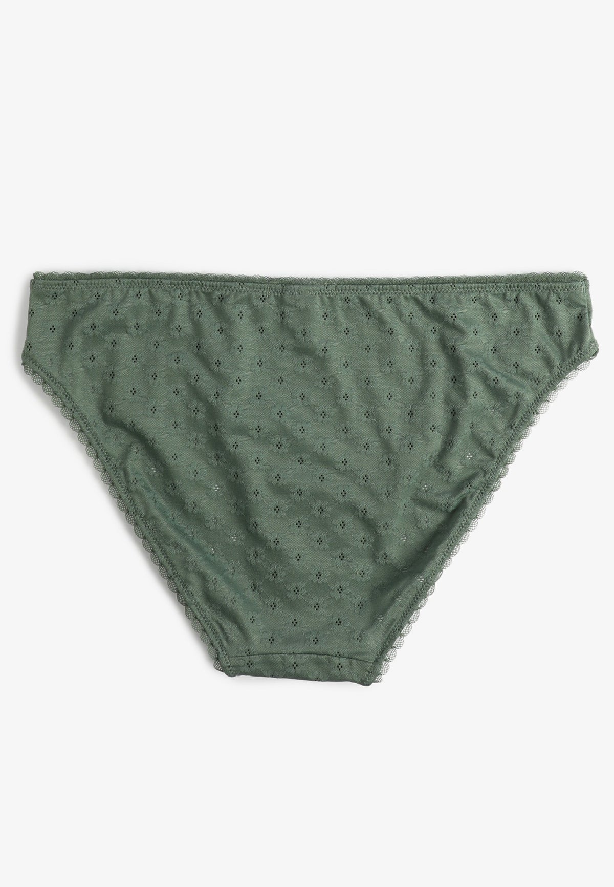 Vintage Lace Eyelet Jacquard Bikini Panty