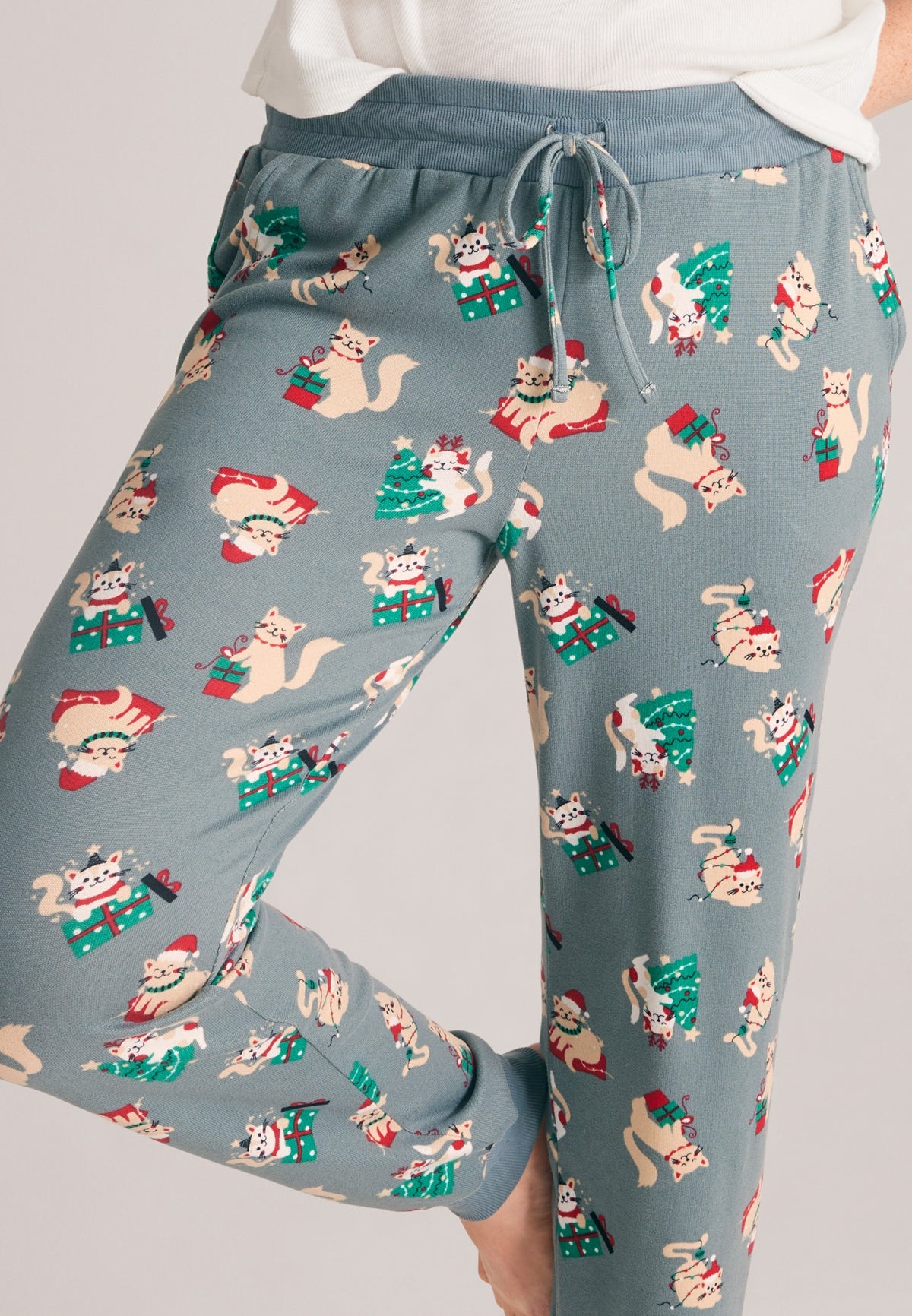 Festive Cats Hacci Jogger Pajama Pants