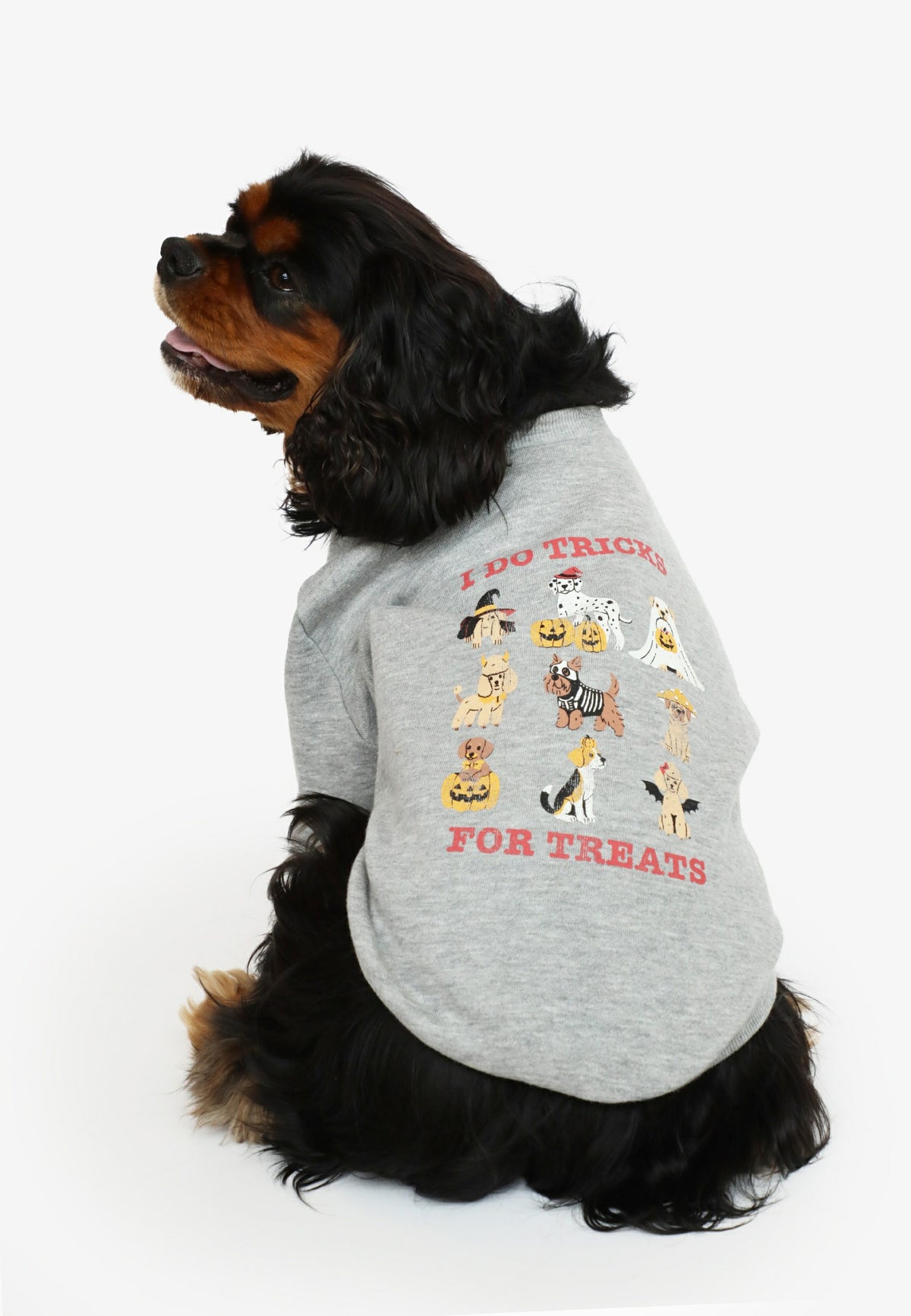 I Do Tricks For Treats Pet Tee