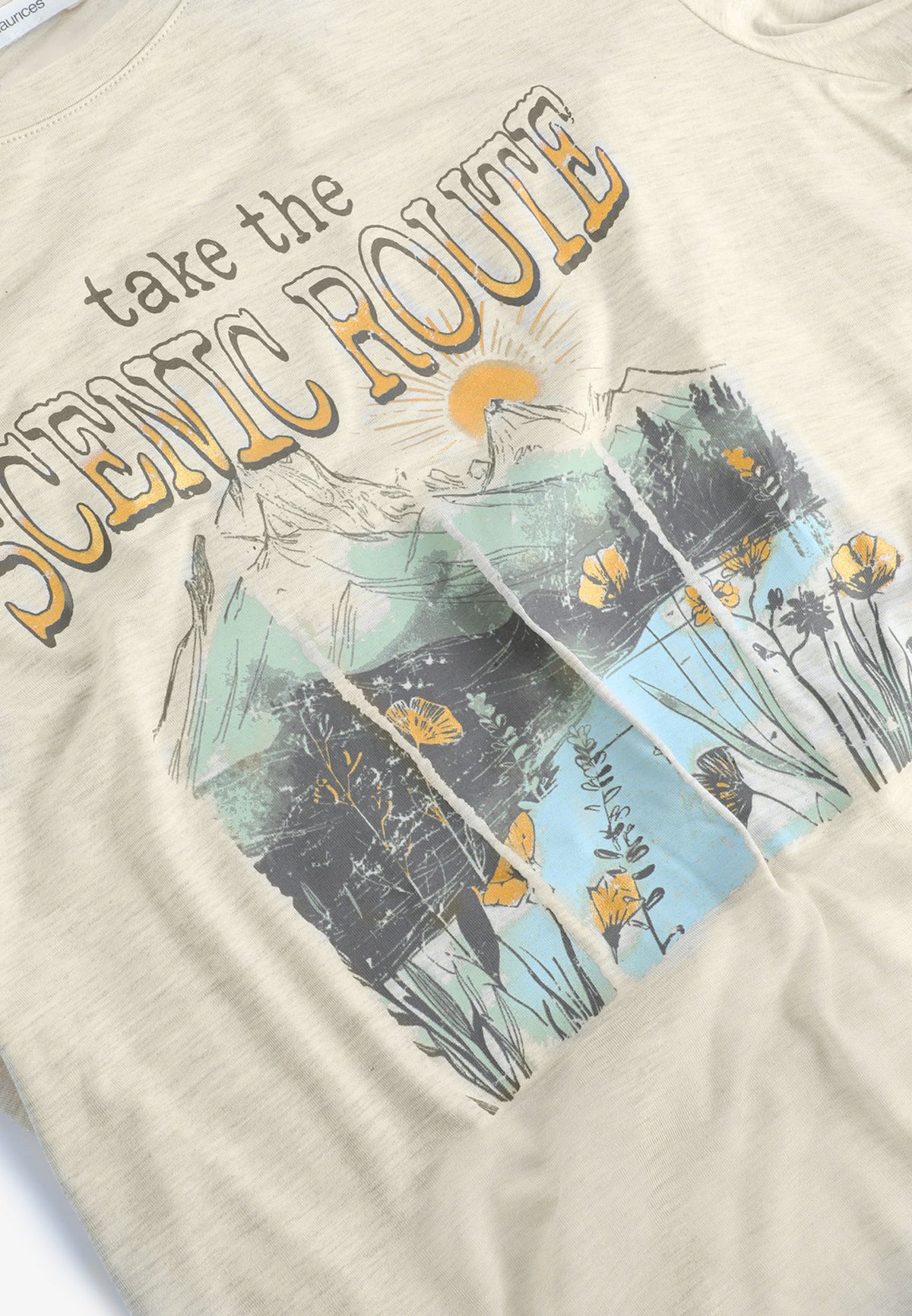 Plus Size Take The Scenic Route Classic Fit Graphic Tee